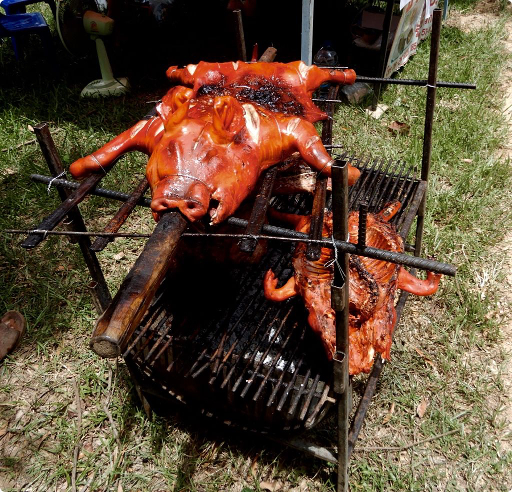 DSCN3338_opt.jpg