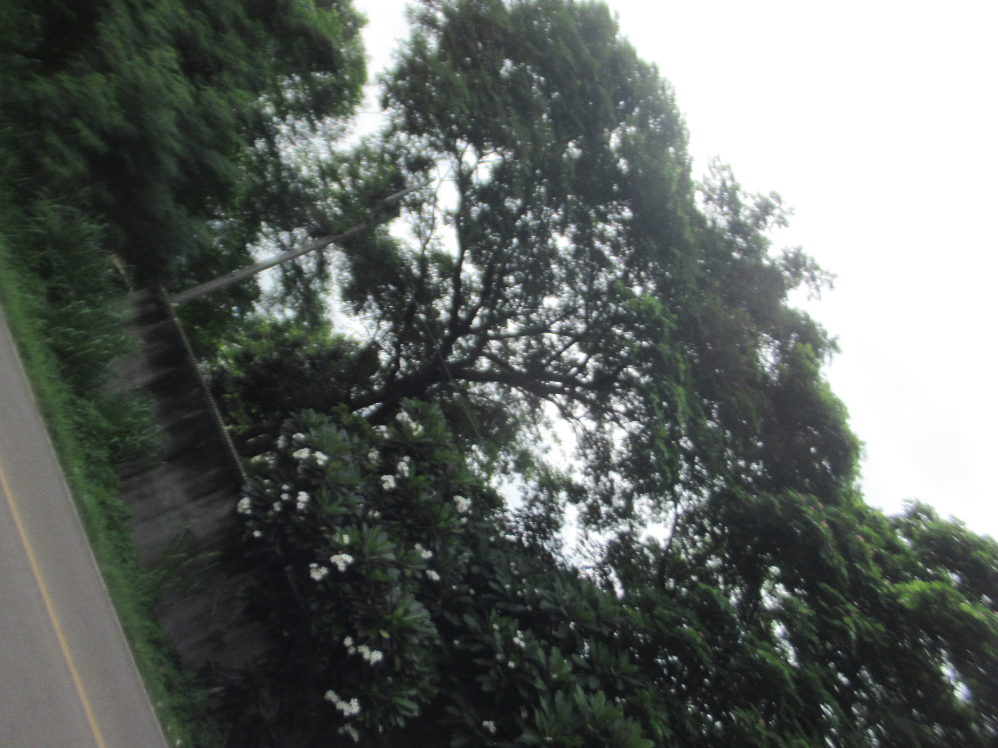 IMG_2086.JPG