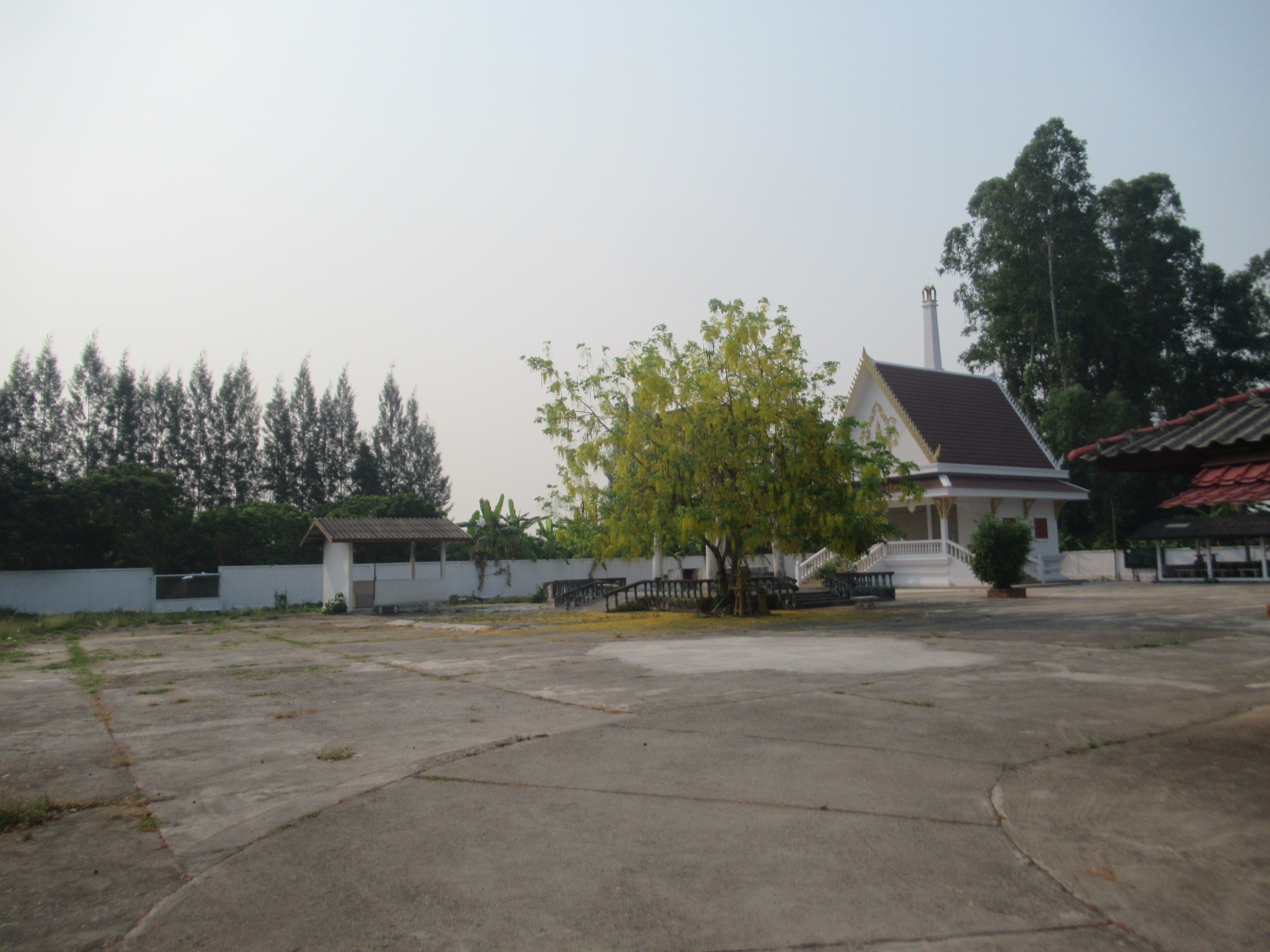 IMG_3683.JPG