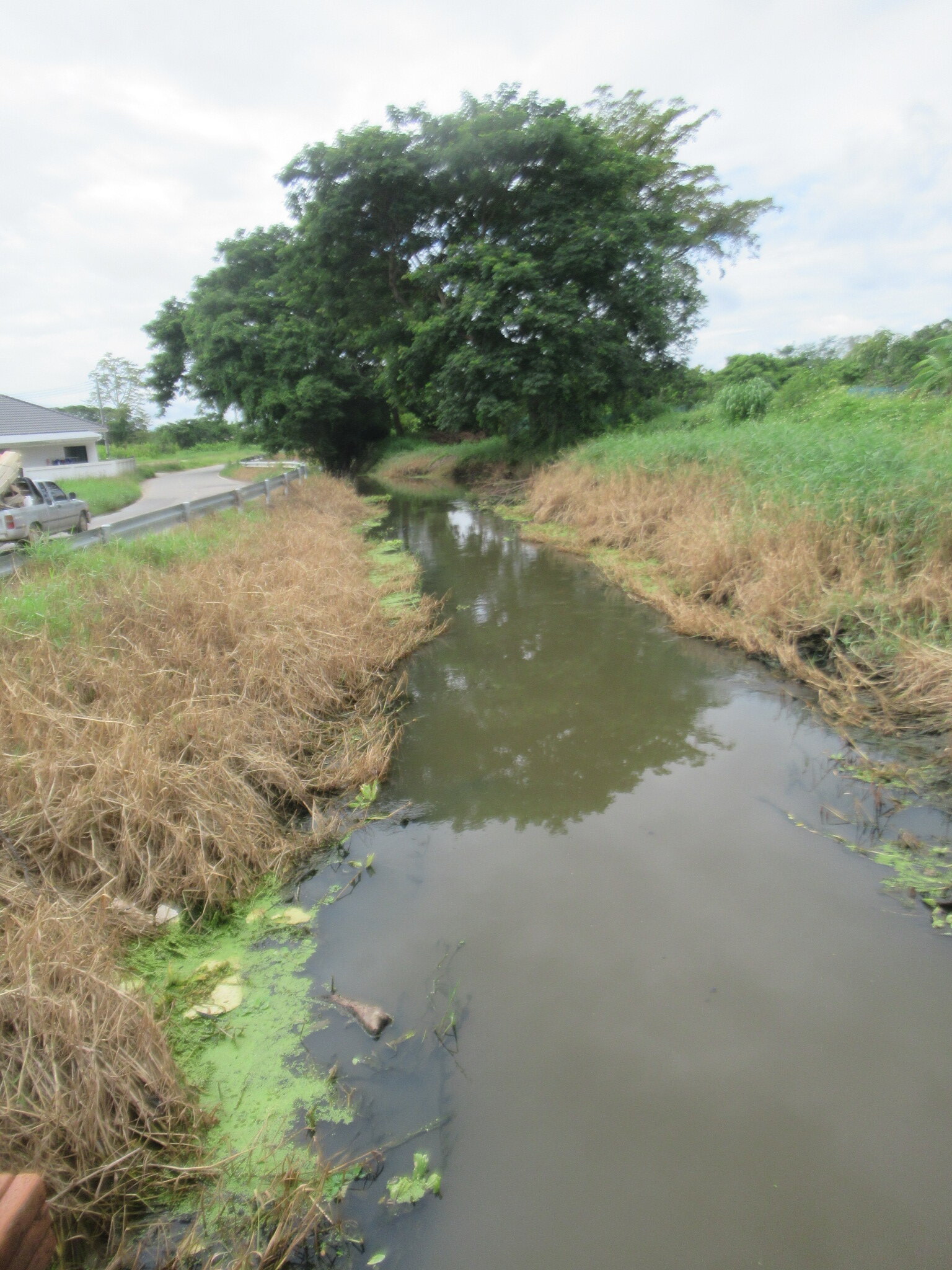 IMG_4121.JPG