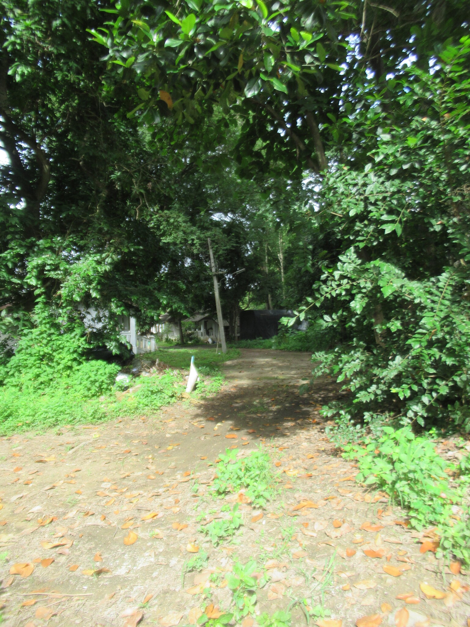 IMG_4273.JPG