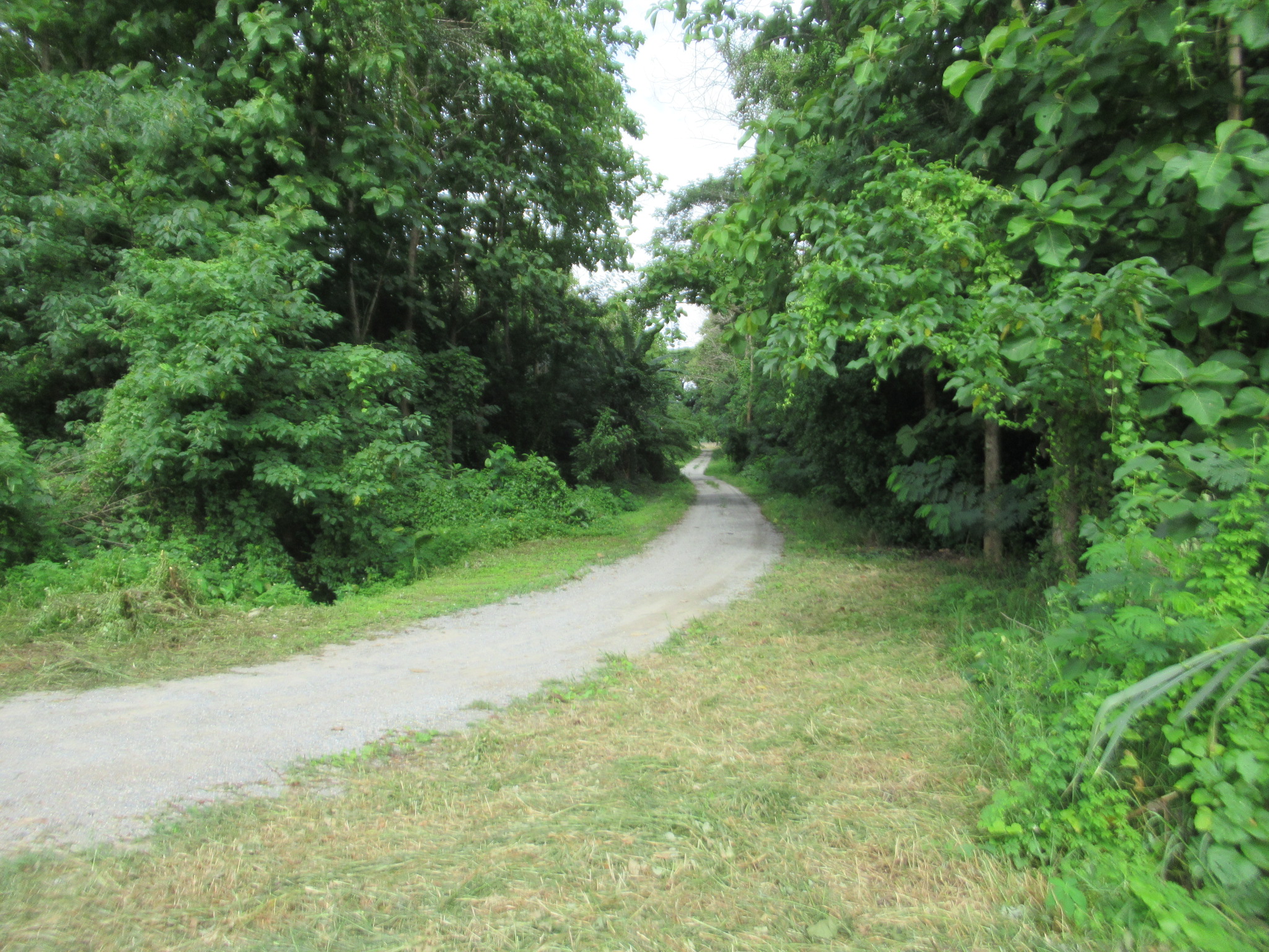IMG_4277.JPG