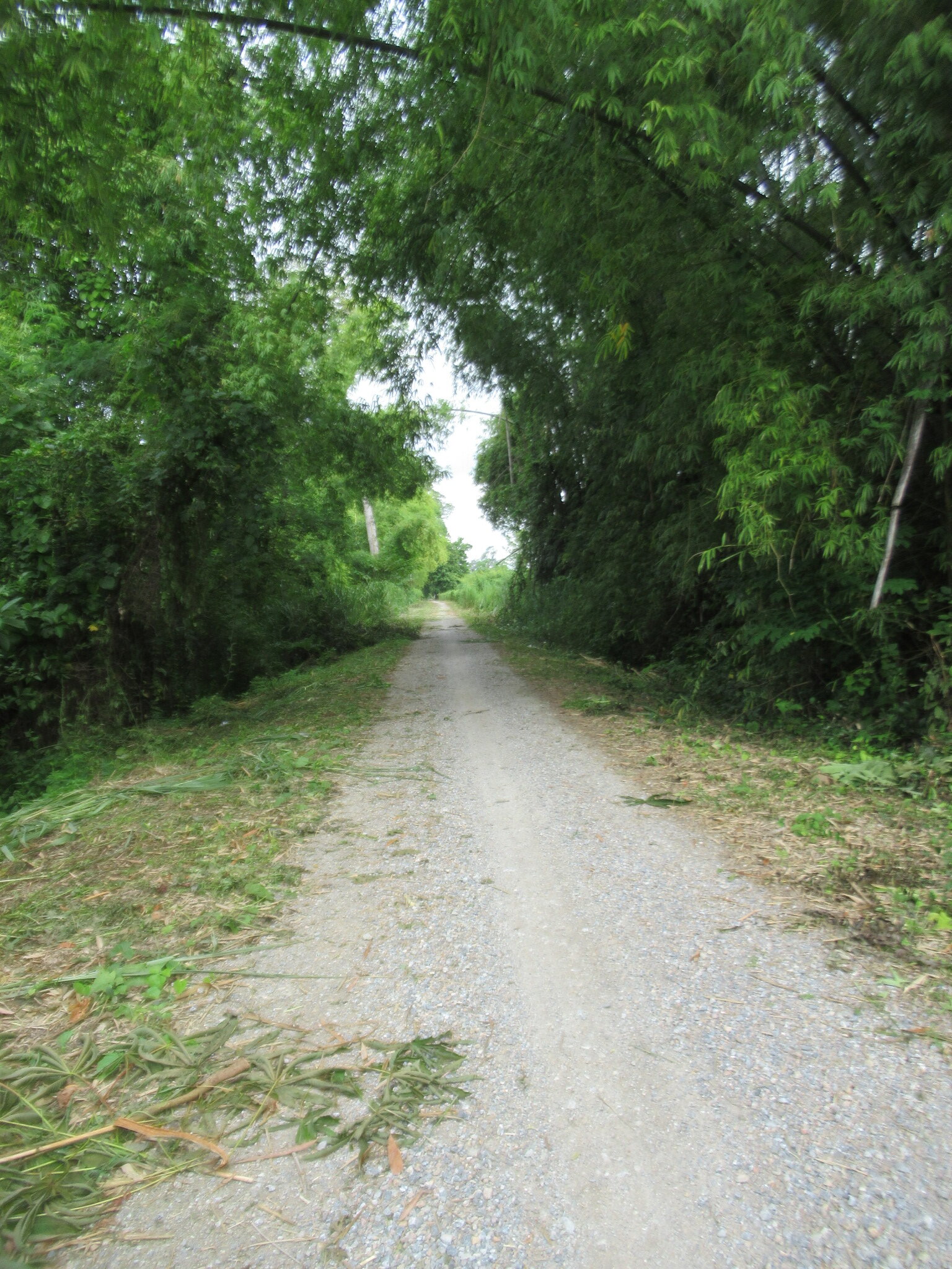 IMG_4282.JPG