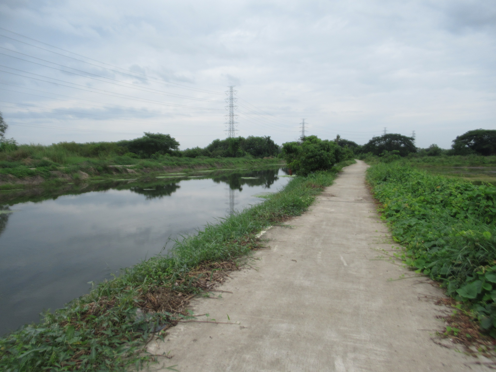 IMG_4364.JPG