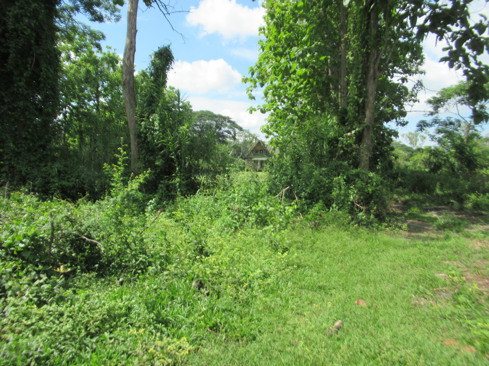 IMG_4450.JPG
