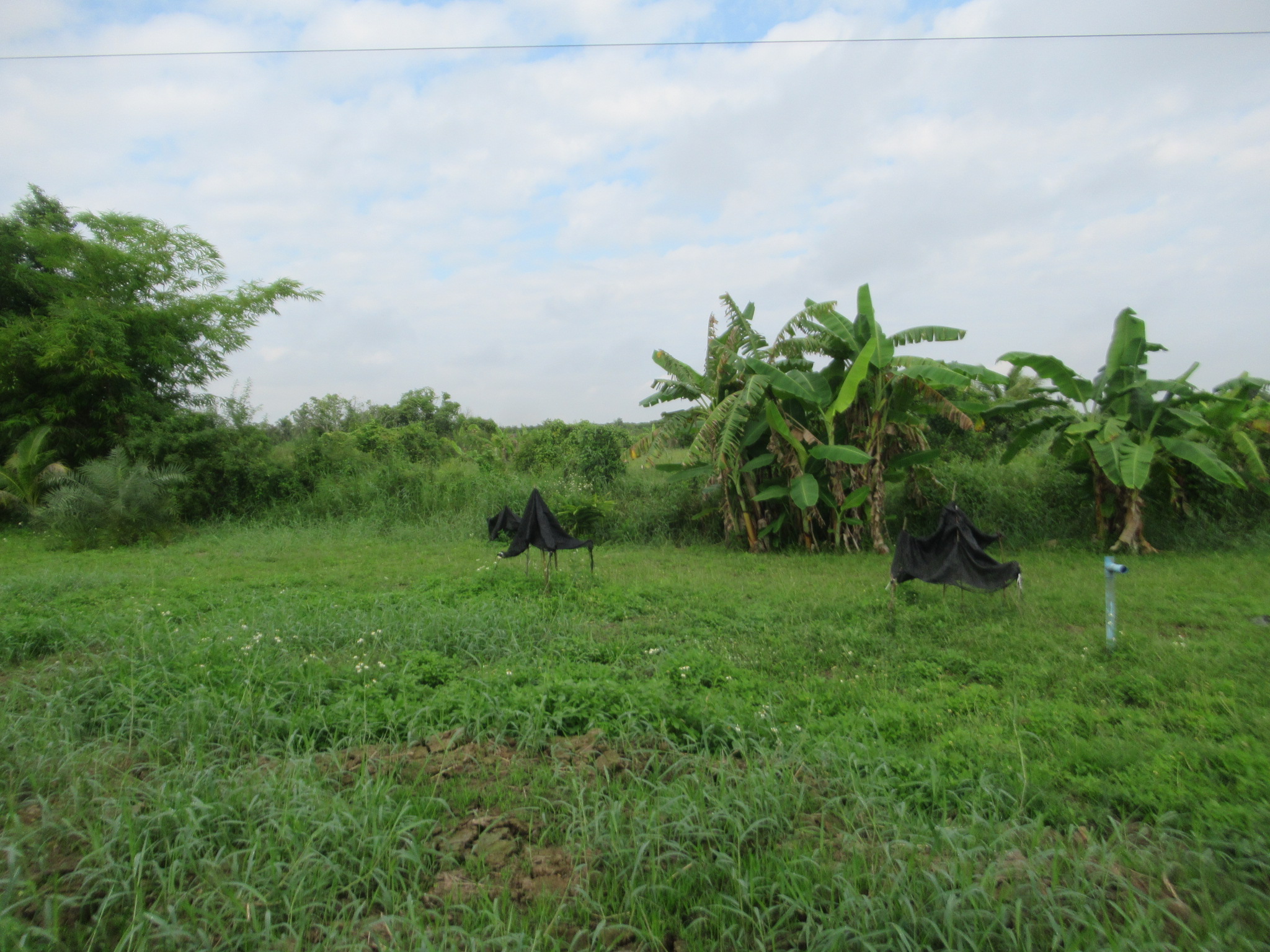 IMG_4820.JPG