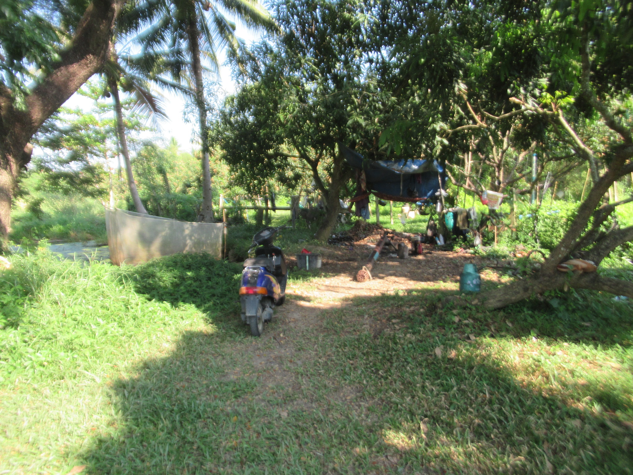 IMG_5326.JPG