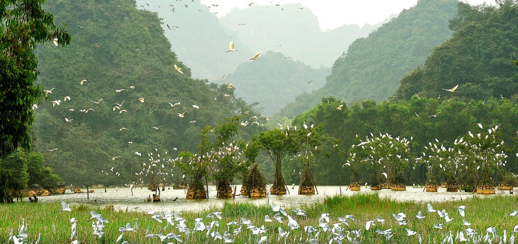 Nham_valley_in_NinhBinh_motorcycle.jpg