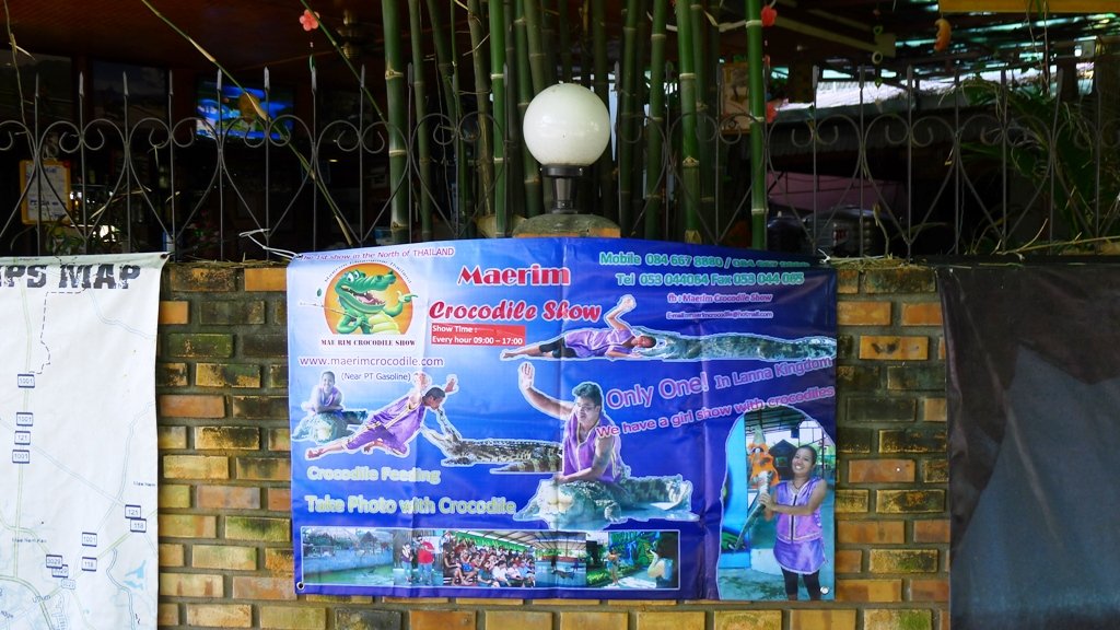 Original Mae Rim crocodile show.jpg