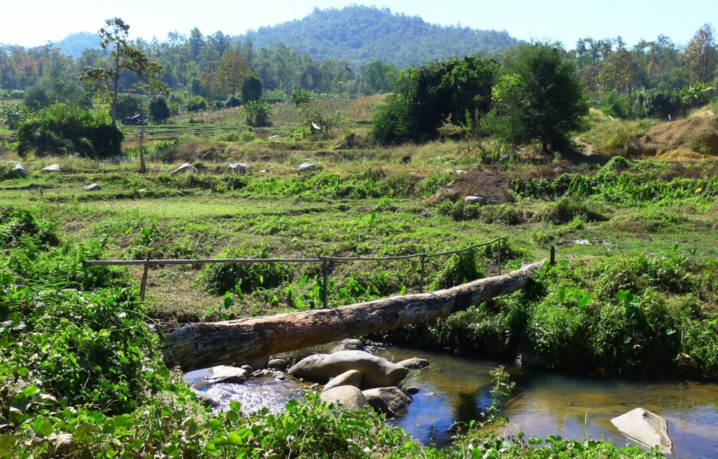 log bridge.jpg