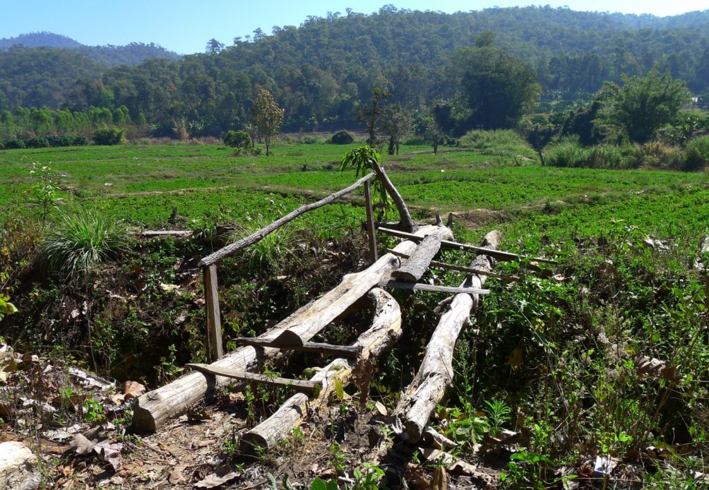 log bridge 3.jpg