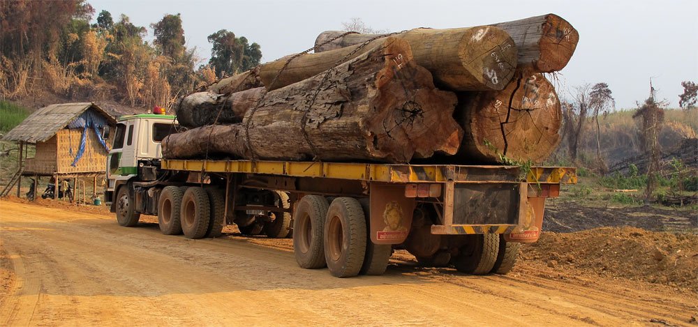 logging-truck.jpg