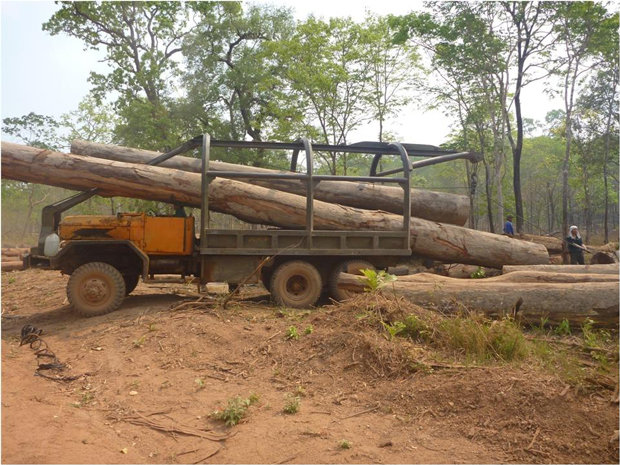 Laos Logging.jpg