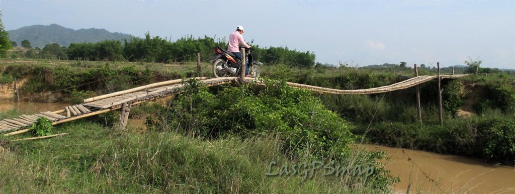 bamboo-bridge.jpg