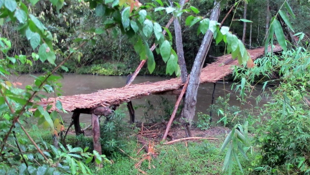 bamboo-walking-bridge.jpg
