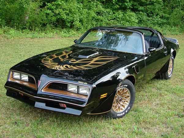 My 1978 Pontiac Trans am.jpg