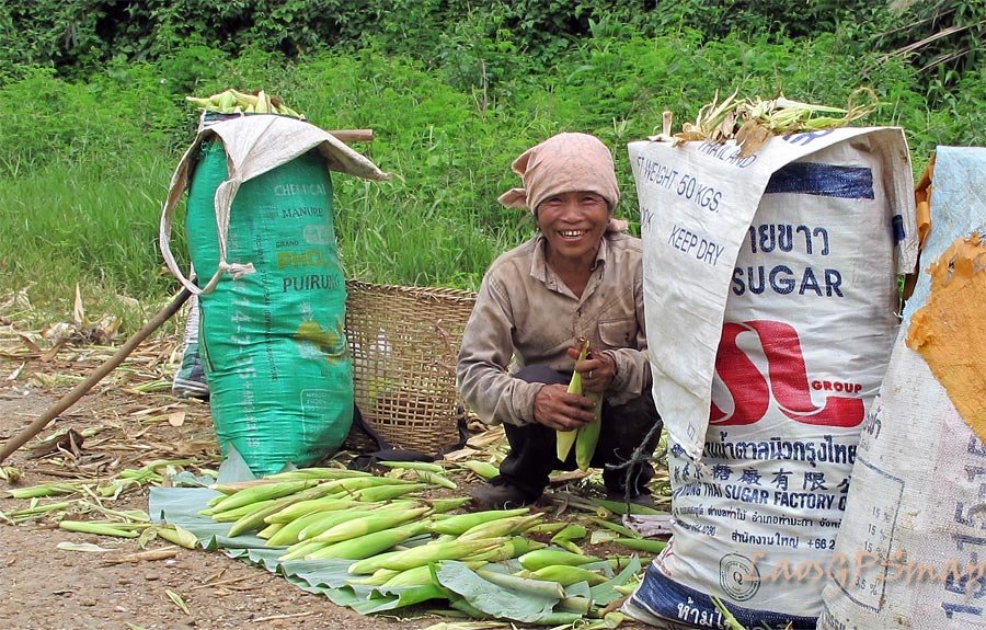 corn-sellers.jpg