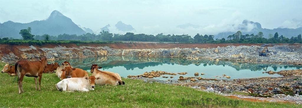 vang-vieng.jpg