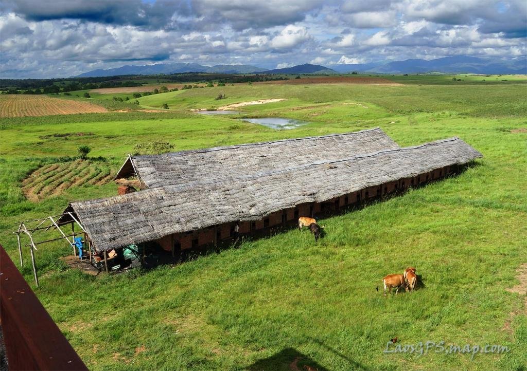 drying-house-cassava.jpg