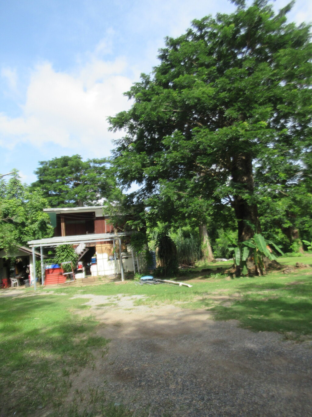 IMG_2019.JPG