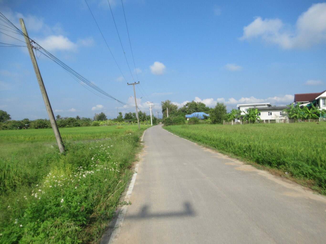 IMG_2288.JPG