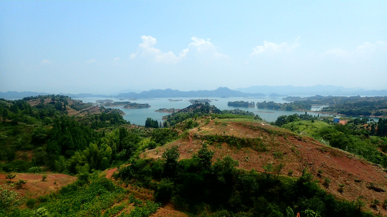 OI002569.jpg